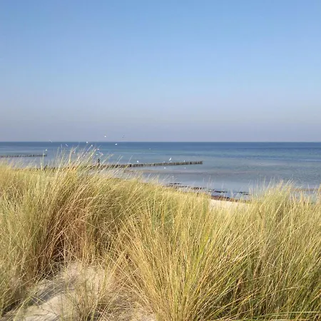 Holiday home Seaside In With Terrace *