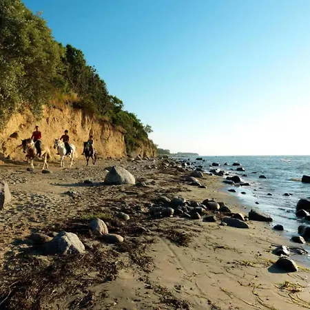Tatil Evi Auf Der For 2 Personen Insel Poel
