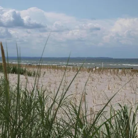 Auf Der For 2 Personen Insel Poel