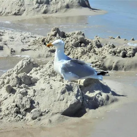 Auf Der For 2 Personen Ferienhaus