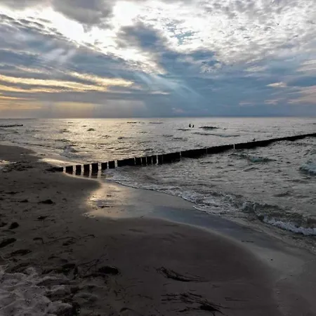 Ferienhaus Auf Der For 2 Personen *